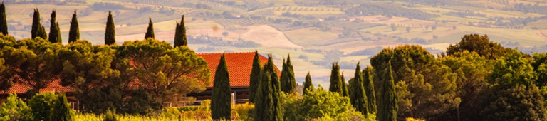 Banner 3